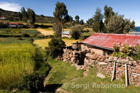 Varias casas dispersas en la isla de Amantaní a los pies del Lago Titicaca.
